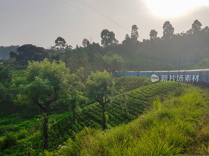 在斯里兰卡的火车旅行通过茶叶种植园Ella, Nuwara Eliya和Kandy